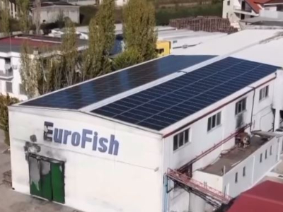 Eurofish shpk Eurofish shpk